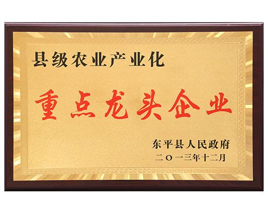 縣級重點龍頭企業